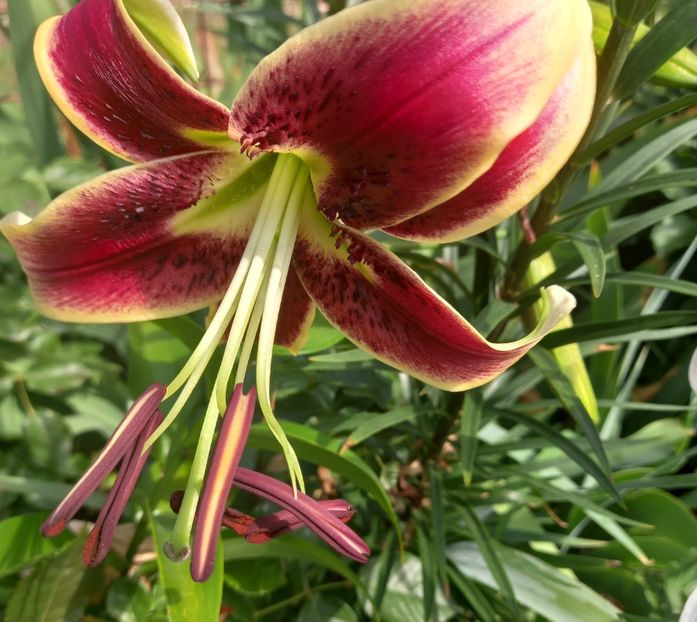  - Sub tutela soarelui