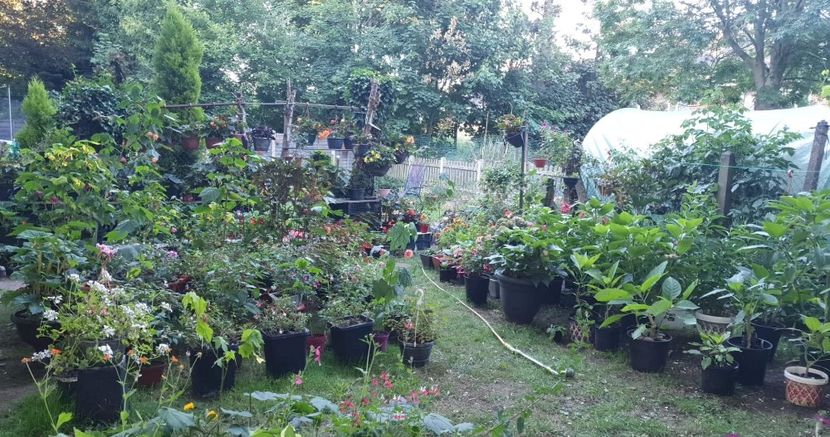 received_1753902841620152 - 0 Gradina 2022