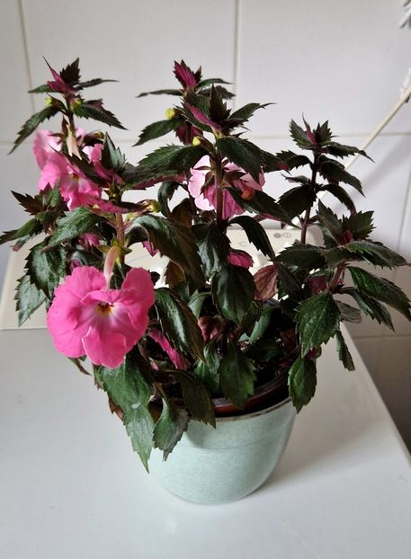  - Madame Bovary 2022