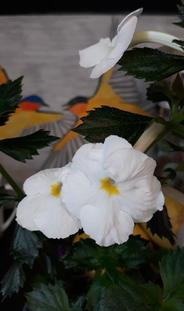  - 0001 2022 - BriD s N8-21