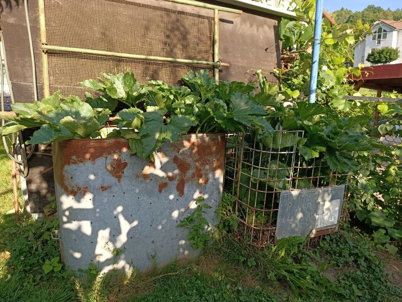 Img.2022.07.11 - A doua grădină