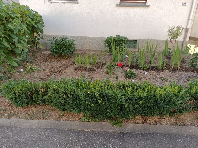 Img.2022.07.11 - A doua grădină