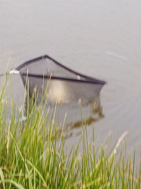  - PESCUIT IULIE 2022