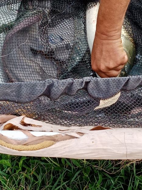  - PESCUIT IULIE 2022