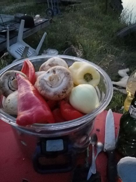  - PESCUIT IULIE 2022