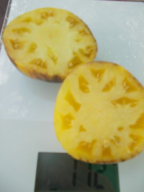  - SEMINTE ROSII - T 957 PURPLE SUNRISE