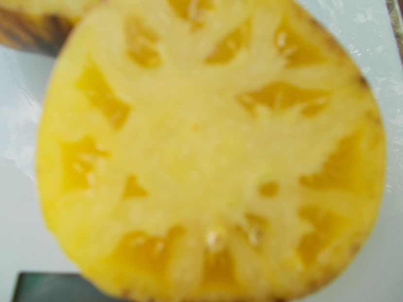  - SEMINTE ROSII - T 957 PURPLE SUNRISE