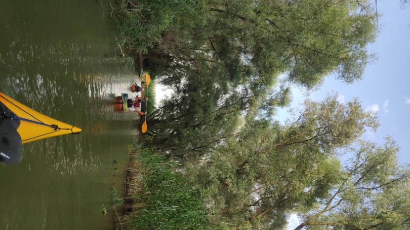  - Murighiol iulie 2022