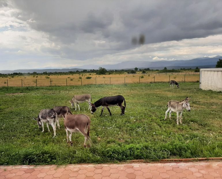  - La țară în iulie 2022