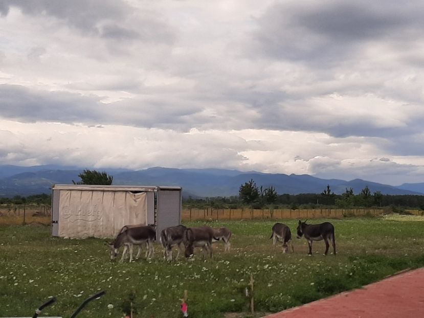  - La țară în iulie 2022