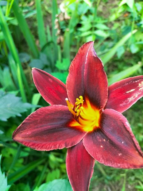 IMG20220712190617 - Iulie 2022