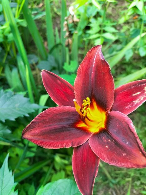 IMG20220712190615 - Iulie 2022