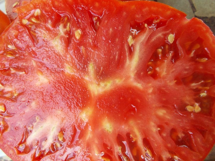  - SEMINTE ROSII - INIMA DE BOU DIN AFRICA DE SUD