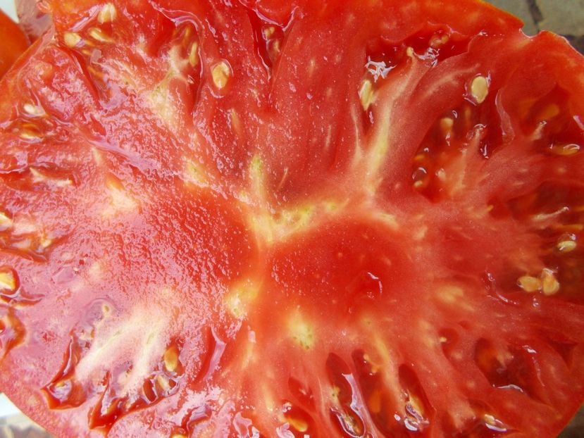  - SEMINTE ROSII - INIMA DE BOU DIN AFRICA DE SUD