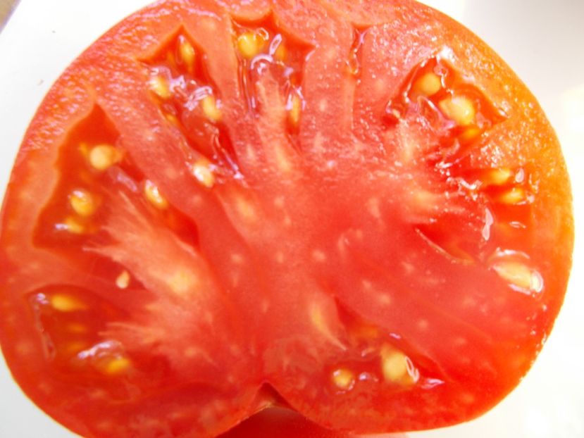  - SEMINTE ROSII - T 927 HEART OF VOLDEMAR