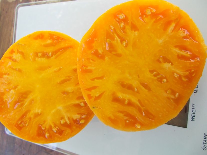  - SEMINTE ROSII - T 894 HEART OF ASHGABAT