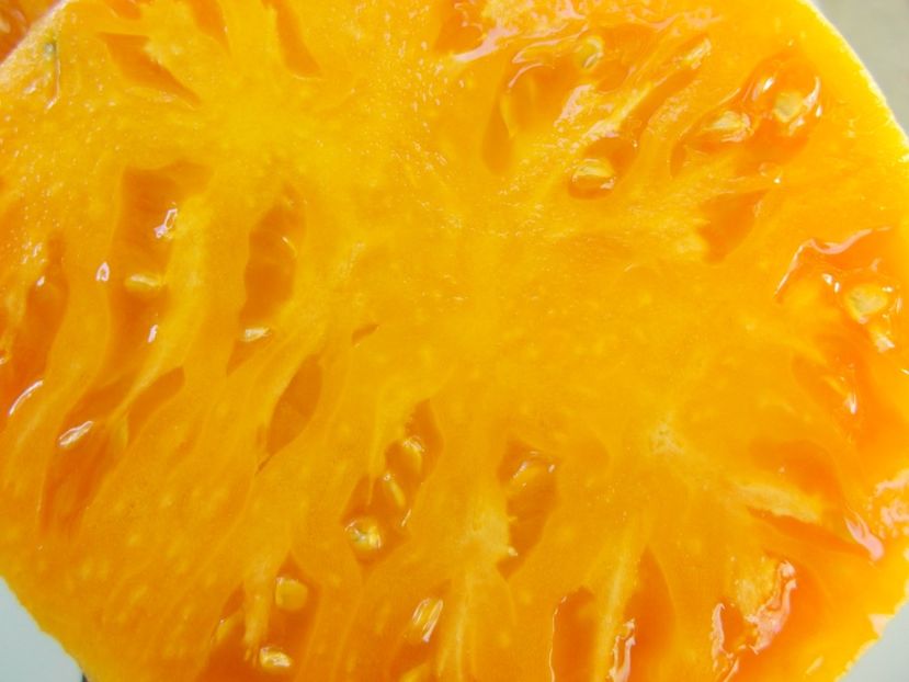  - SEMINTE ROSII - T 894 HEART OF ASHGABAT