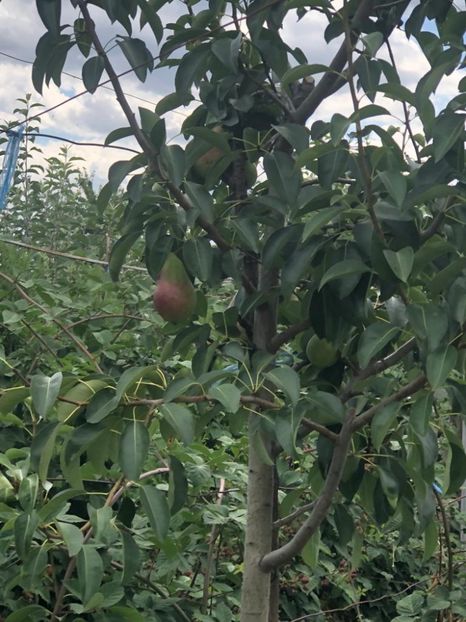 WhatsApp Image 2022-07-14 at 14.30.25 (1) - 06 Cordun 14 07 2022