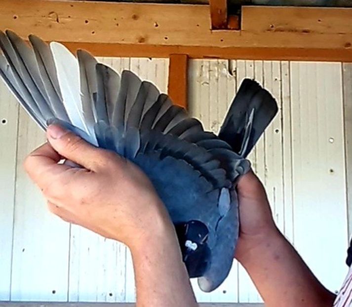 VideoCapture_20220712-095556 - 2022