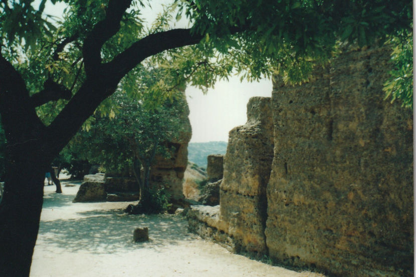 Agrigento. Valea Templelor - Sicilia