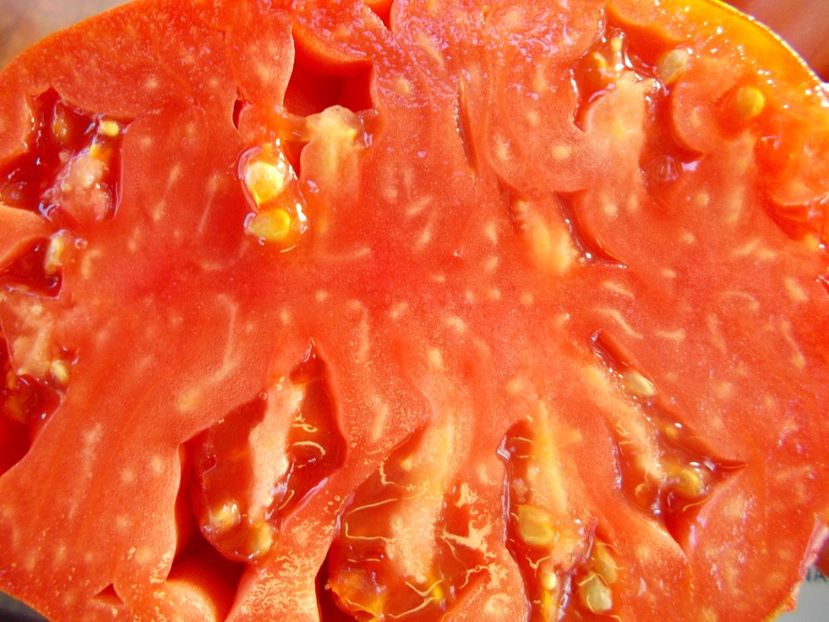  - SEMINTE ROSII - T 853 CUORE DI DRONERO