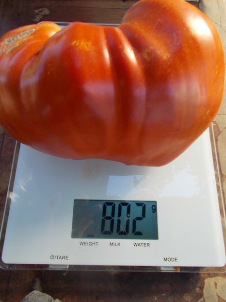  - SEMINTE ROSII - T 853 CUORE DI DRONERO