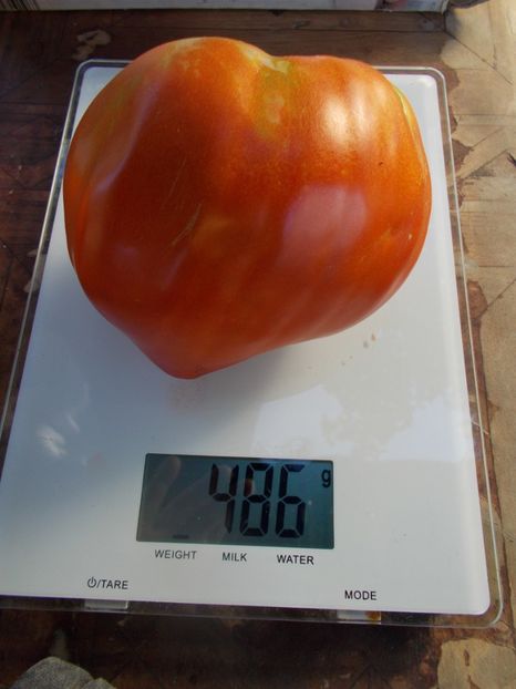  - SEMINTE ROSII - T 853 CUORE DI DRONERO