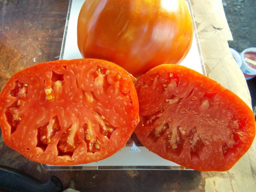  - SEMINTE ROSII - T 853 CUORE DI DRONERO