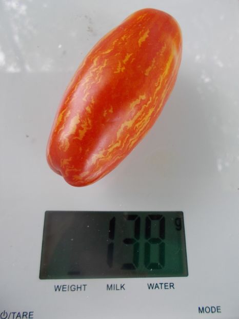  - SEMINTE ROSII - T 988 CASSADY S FOLLY