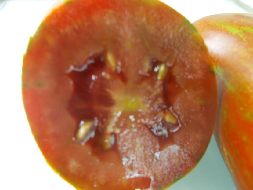  - SEMINTE ROSII - T 916 BOXER REBELLION CTR STRAIN