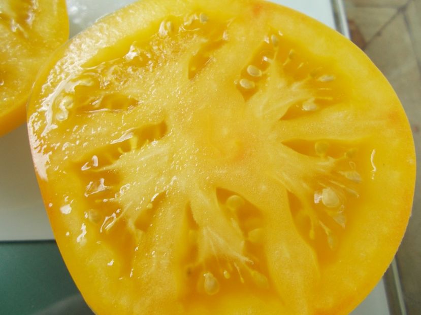  - SEMINTE ROSII - T 962 GOLDEN QUEEN USDA STRAIN