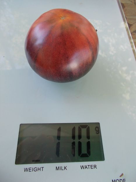  - SEMINTE ROSII - T 896 BLACK SLICES