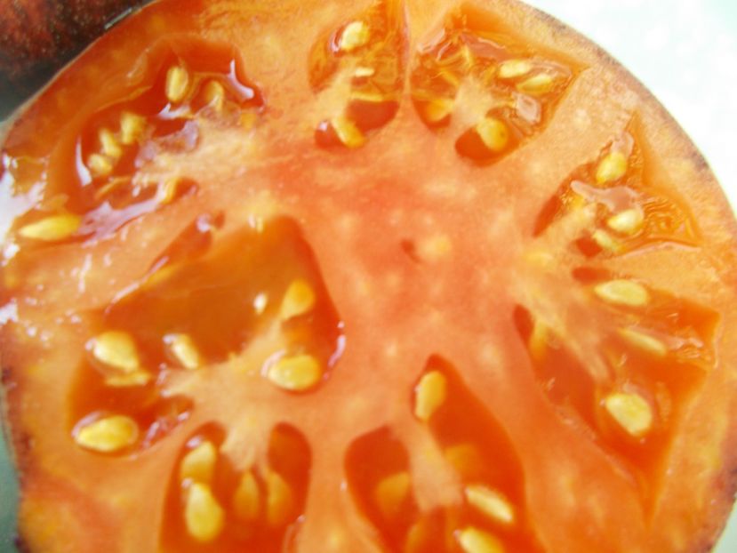  - SEMINTE ROSII - T 896 BLACK SLICES