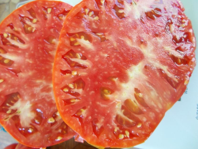  - SEMINTE ROSII - T 952 COTE DE SAINT-ANDRE