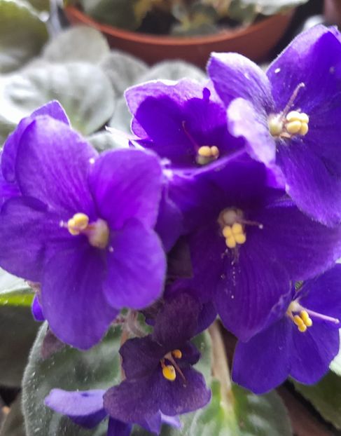  - 111 Bucurii pentru suflet 2022