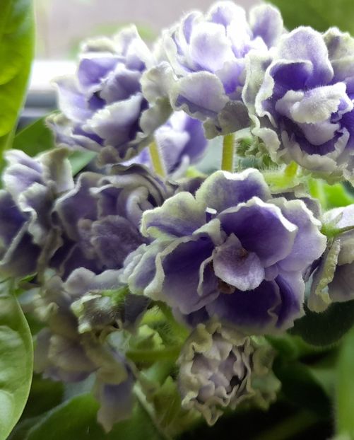  - 111 Bucurii pentru suflet 2022