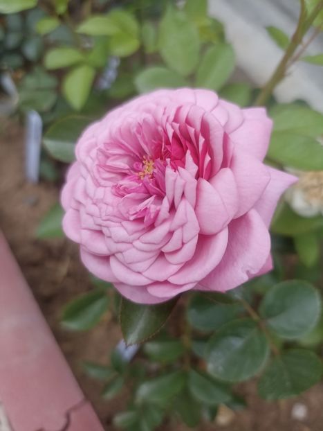 2022 - Durance Ancian