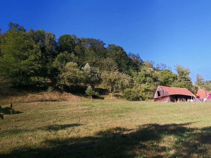  - O scurtă plimbare de duminică