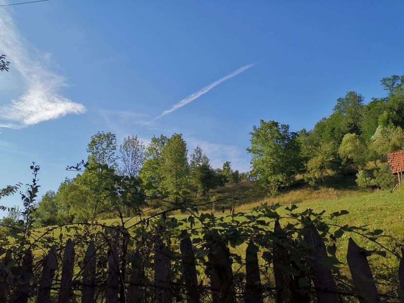  - O scurtă plimbare de duminică