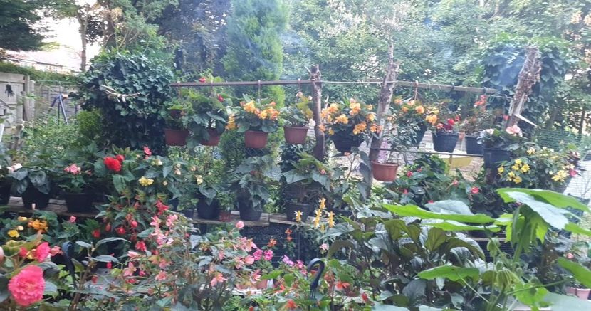received_1026106378083991 - 0 Gradina 2022