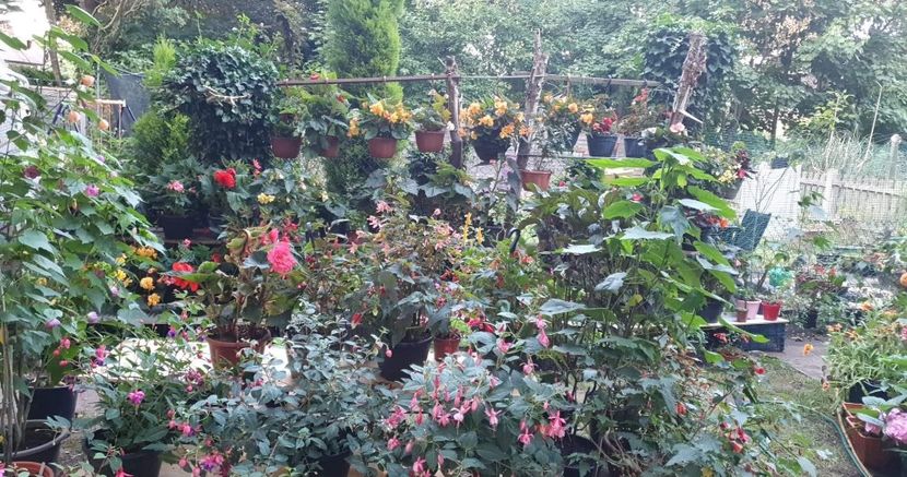 received_1393068144436132 - 0 Gradina 2022
