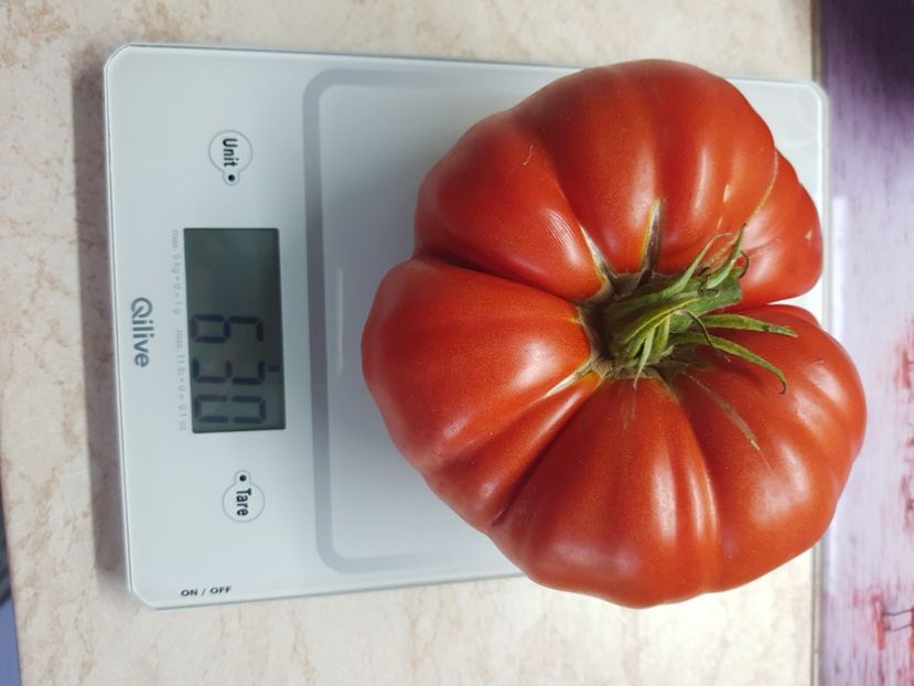 Record pana pe 19 iulie - Iulie 2022 tomate