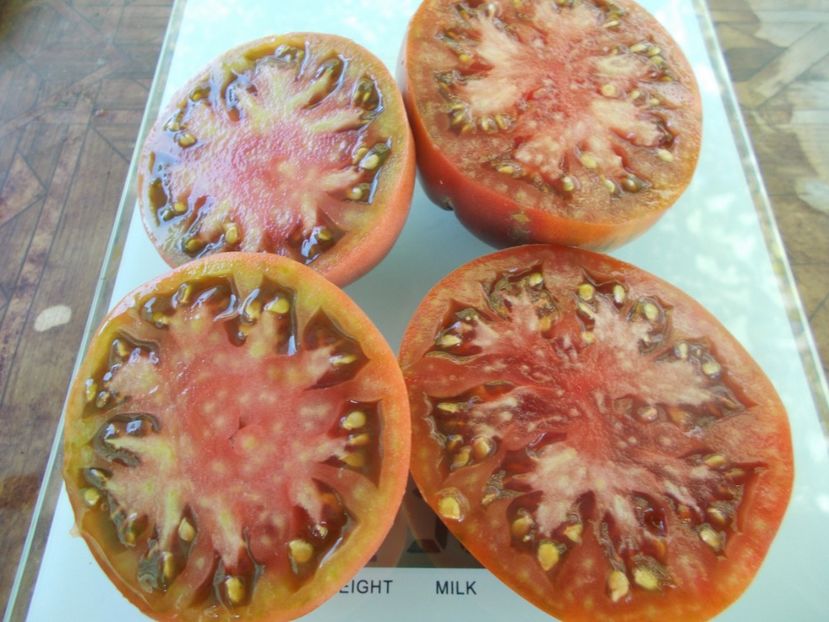  - SEMINTE ROSII - T 979 BLACK SEA MAN