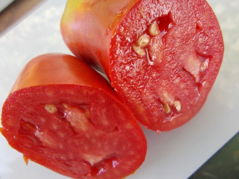  - SEMINTE ROSII - T 880 SARNOWSKI POLISH PLUM