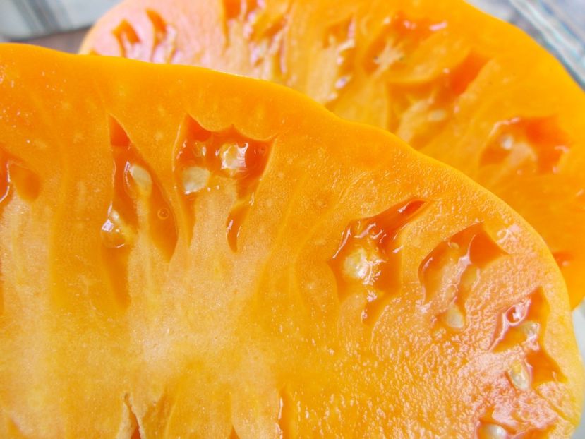  - SEMINTE ROSII - T 915 EARTH WONDER ORANGE