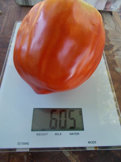  - SEMINTE ROSII - T 853 CUORE DI DRONERO