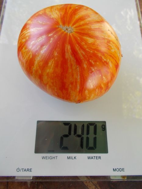  - SEMINTE ROSII - T 864 ARKANSAS MARVEL HEART