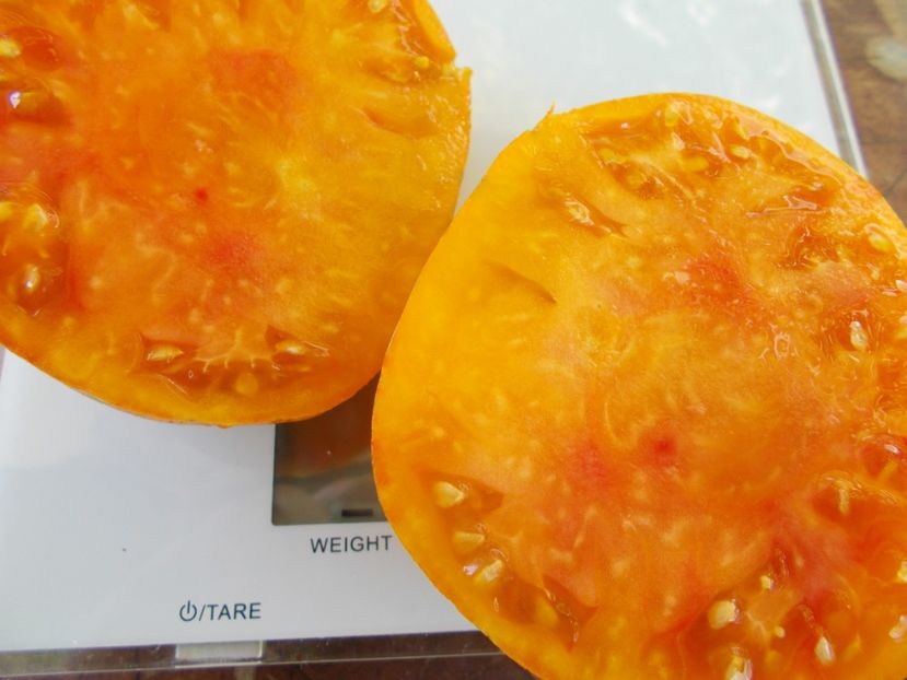  - SEMINTE ROSII - T 864 ARKANSAS MARVEL HEART