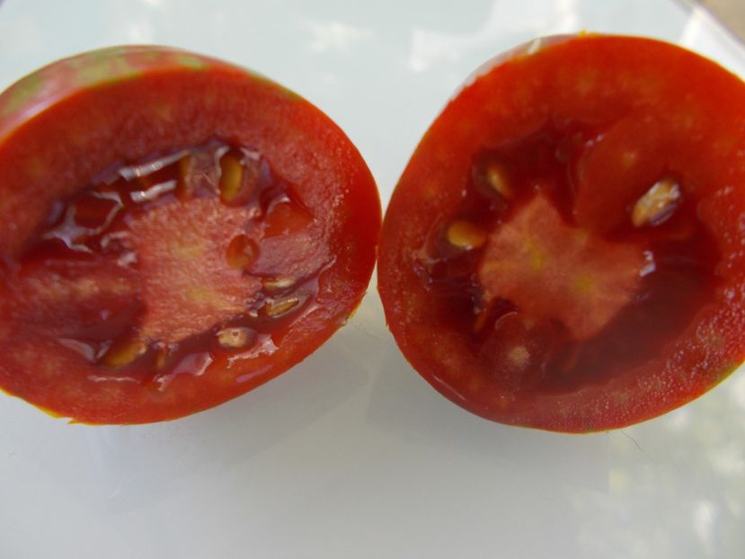  - SEMINTE ROSII - T 840 MARCHENMONSTER