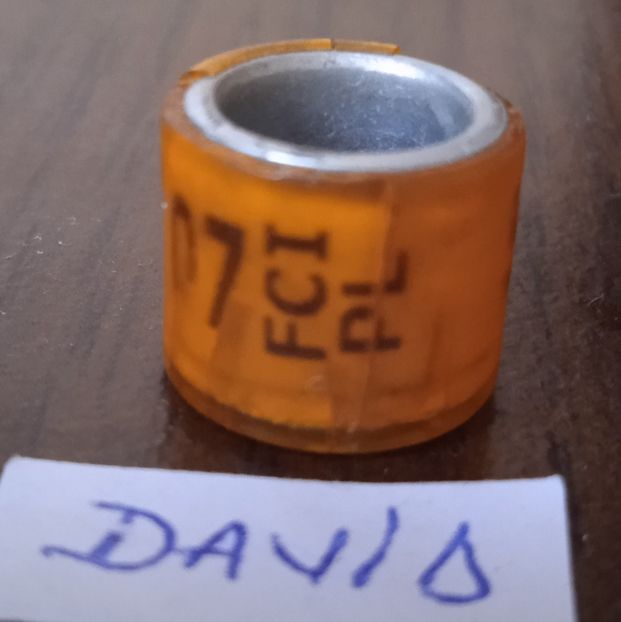 2014-POLONIA - Polonia